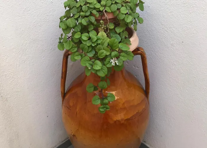 Opera House - Zona Petruzzelli * בארי