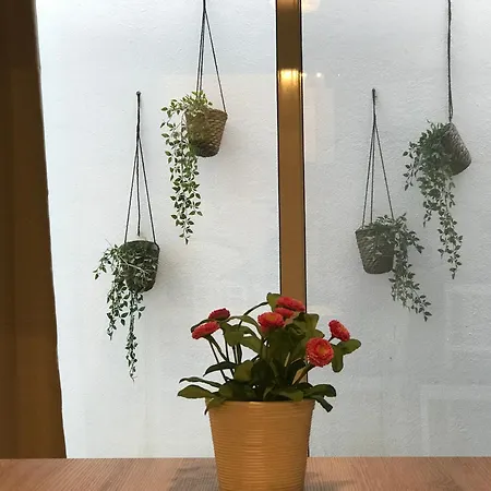 Apartment Opera House - Zona Petruzzelli Bari